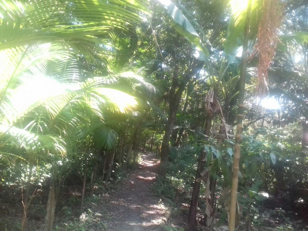Recanto da Kaká Ilha do Mel Exterior foto